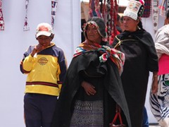 tarrabuco (1)