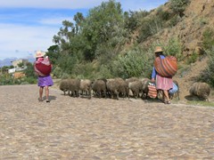toro - toro (2)
