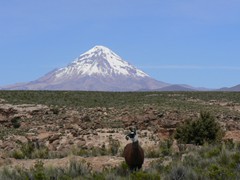 sajama (2)