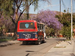 wiosna w cochabamba (1)