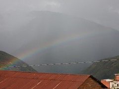 yungas (1)