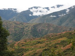 yungas (2)