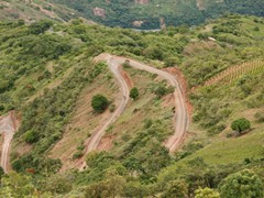 yungas (3)