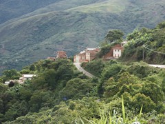 yungas (5)