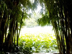 CAM01817