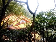 CAM02026