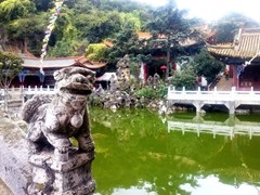 CAM02063