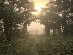 Korz_16